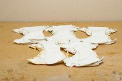 Kushie cloth diapers
5 small sized
$10 for the set